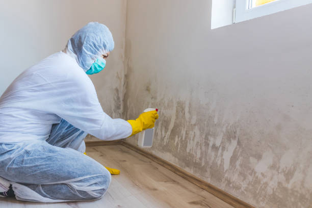 Licensed Crawl Space Mold Removal service in Hopewell, NJ - WQB Mold Removal
