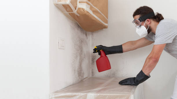 Professional Crawl Space Mold Removal technician working in Hopewell, NJ