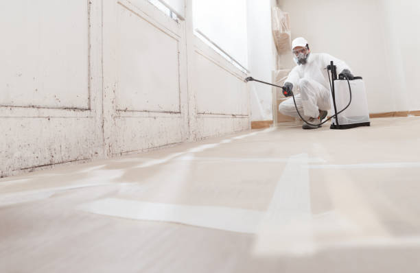 24/7 Emergency Crawl Space Mold Removal experts in Hopewell, NJ