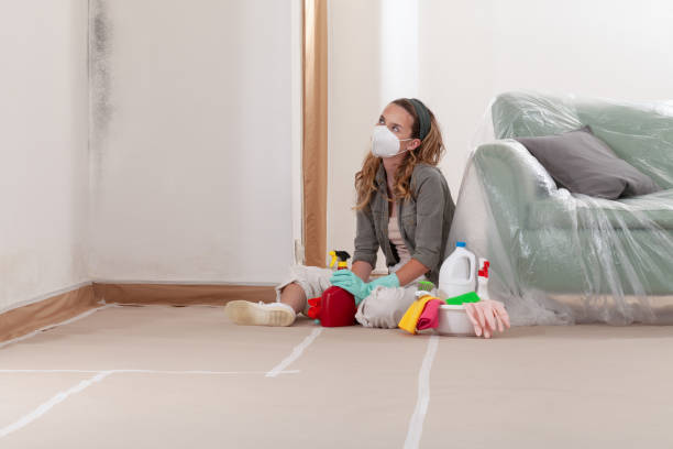 Reliable Crawl Space Mold Removal contractor in Hopewell, NJ by WQB Mold Removal
