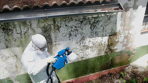 Top rated local Crawl Space Mold Removal specialists in Hopewell, NJ
